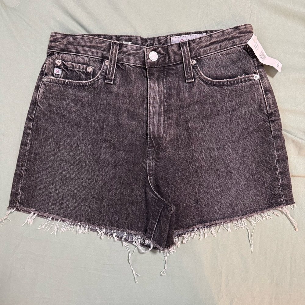 AG Adriano Goldschmied "The Mikkel" High Rise Vintage Jean Shorts